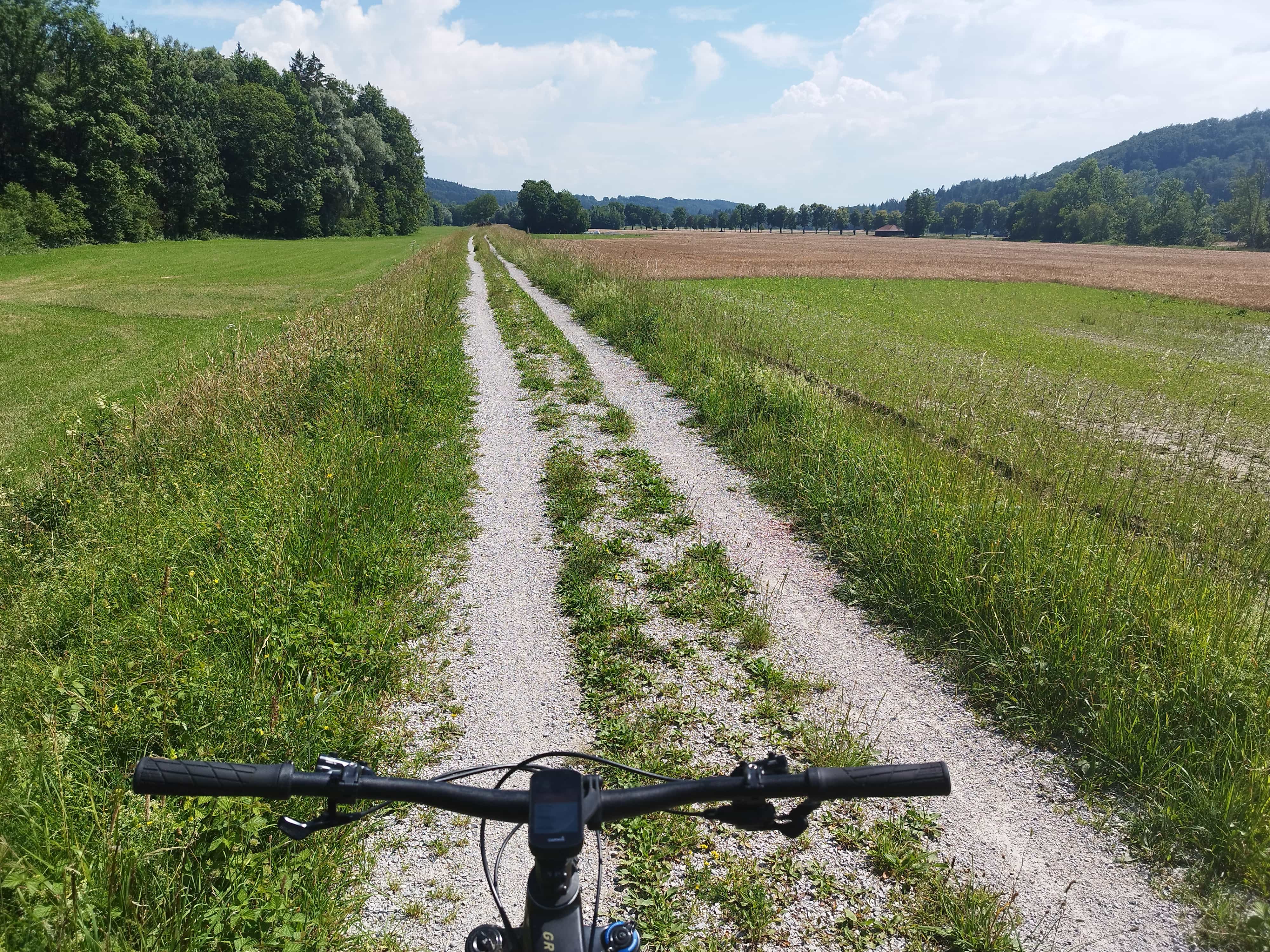 Beschreibung des Bildes