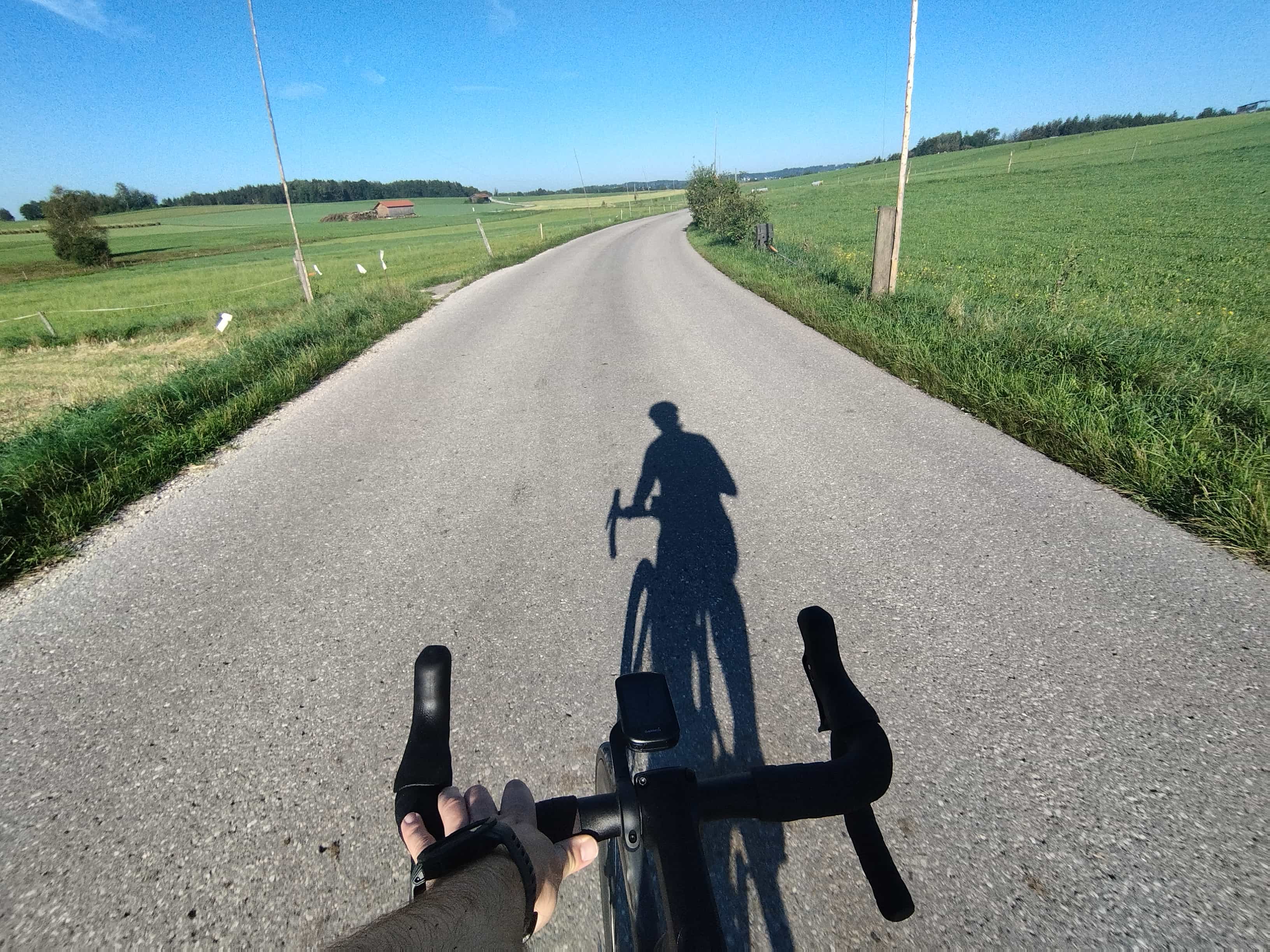 Beschreibung des Bildes